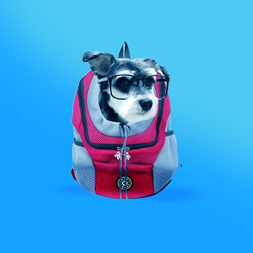Pets